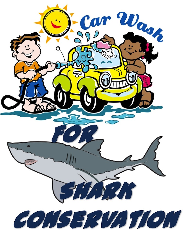 Fundraising for Shark Conservation and shark education