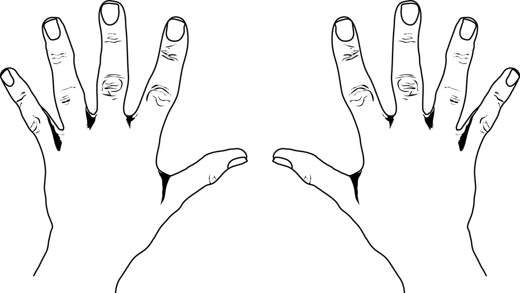 Pix For > Right Hand Clipart