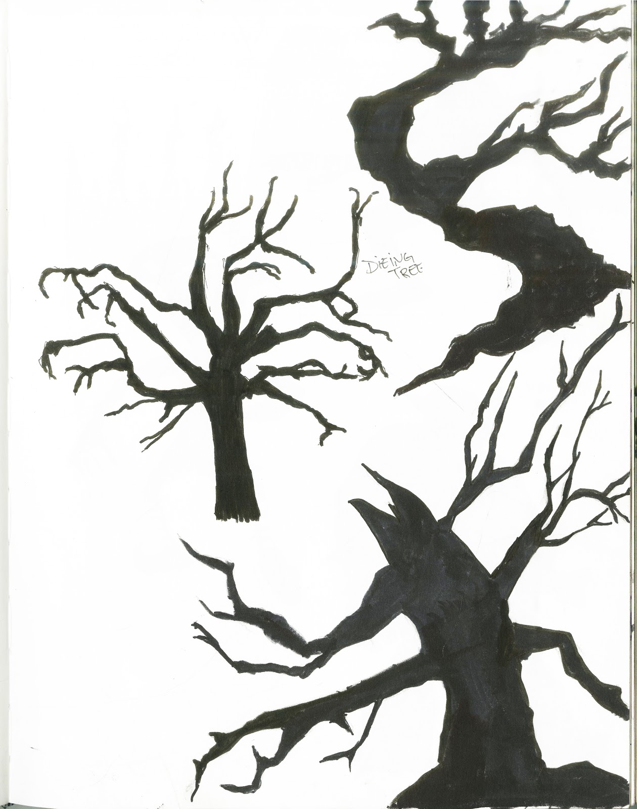 Creepy Dead Tree Drawing - ClipArt Best - ClipArt Best