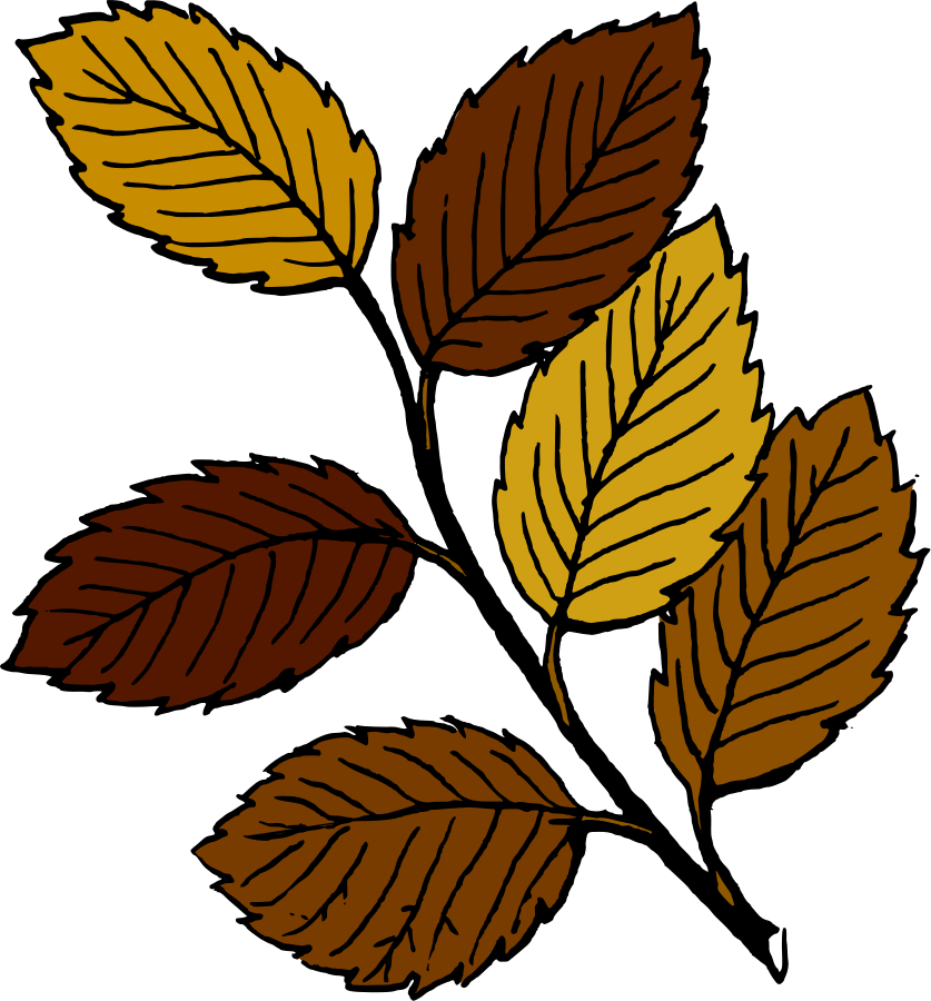 Autumn leaves on branch SVG Vector file, vector clip art svg file ...