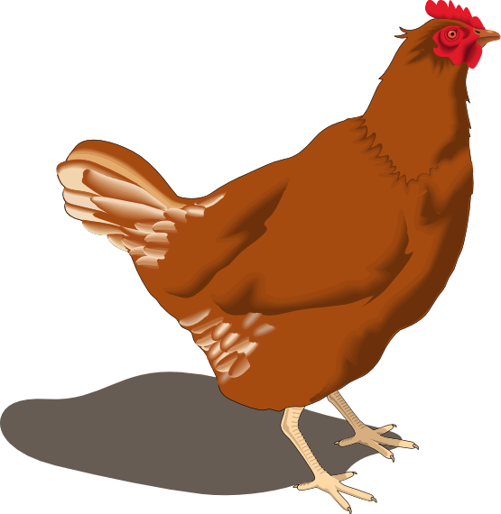 Hen On Nest Clipart | Clipart Panda - Free Clipart Images