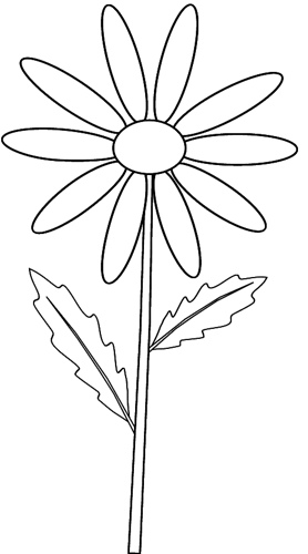 Daisy Outline Clipart Images & Pictures - Becuo