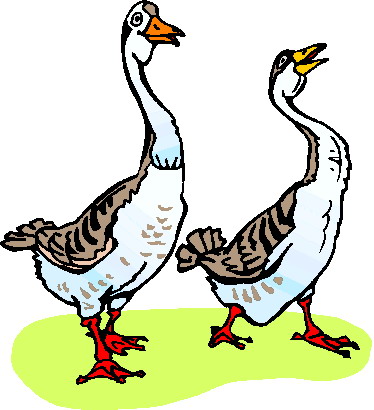 Pix For > Clip Art Goose