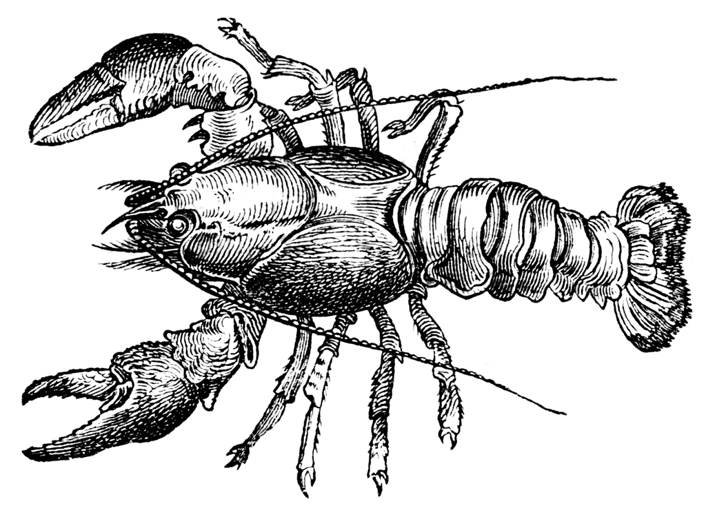Lobster | ClipArt ETC