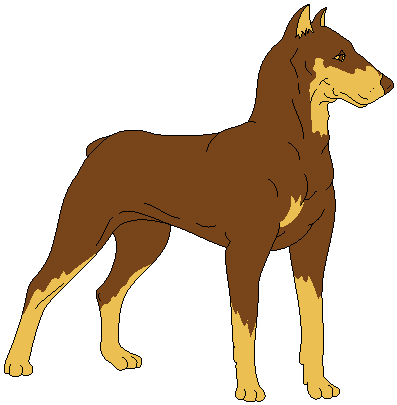 Free Clipart : Dogs Clipart : DOBERMAN