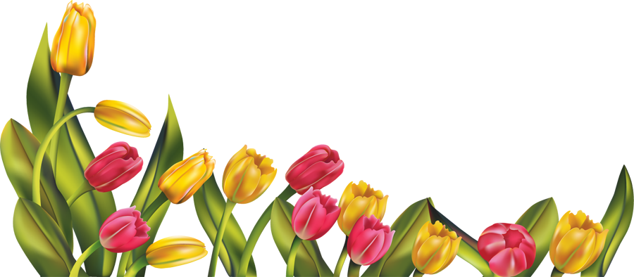 Spring Borders Free - ClipArt Best