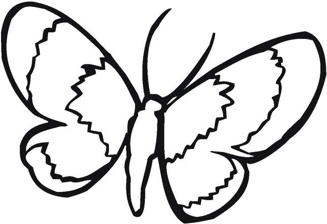 Animals Simple Butterfly Coloring Pages #114.