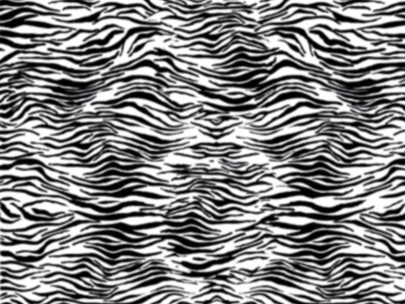 Cool Zebra Print Wallpaper 1080p Wallpaper | New Trend And Fresh ...