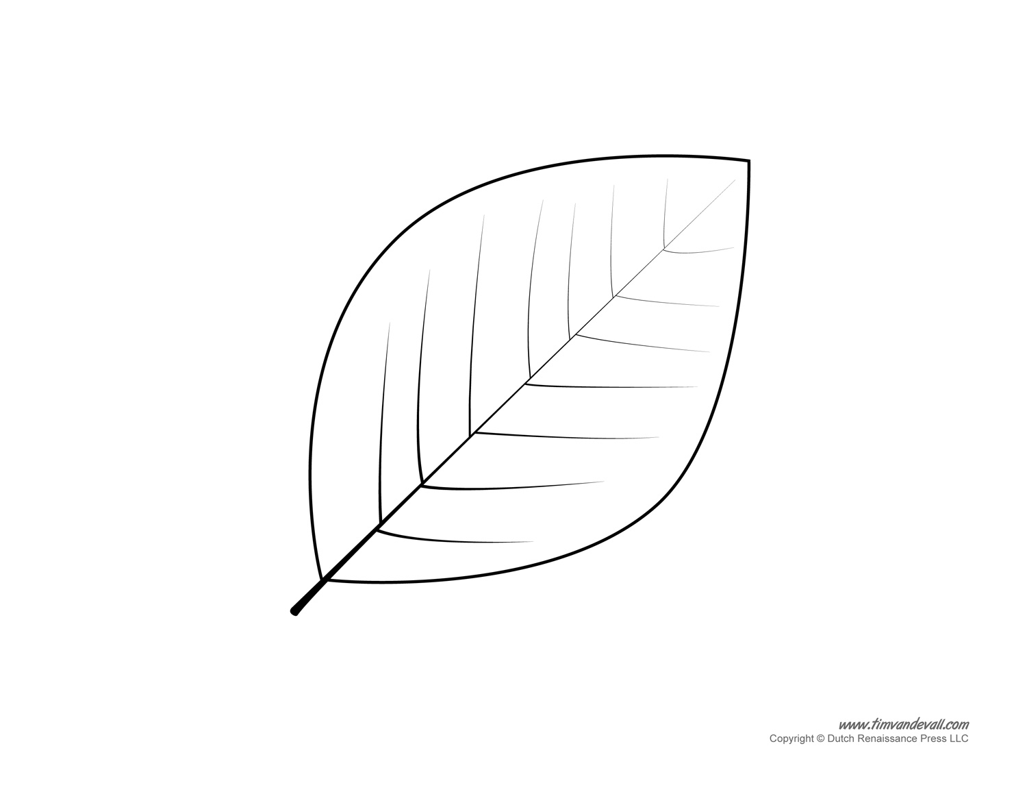 Leaf Template Cliparts co