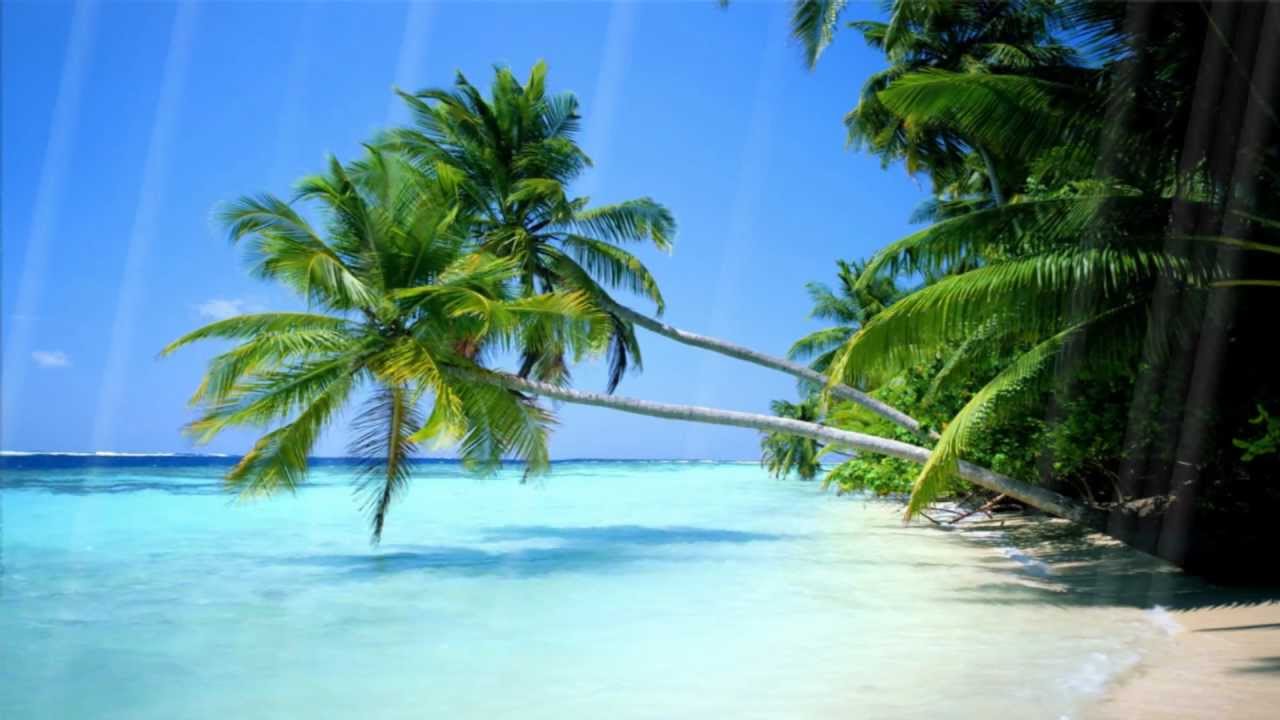 Summer Beach Animated Wallpaper http://www.desktopanimated.com ...