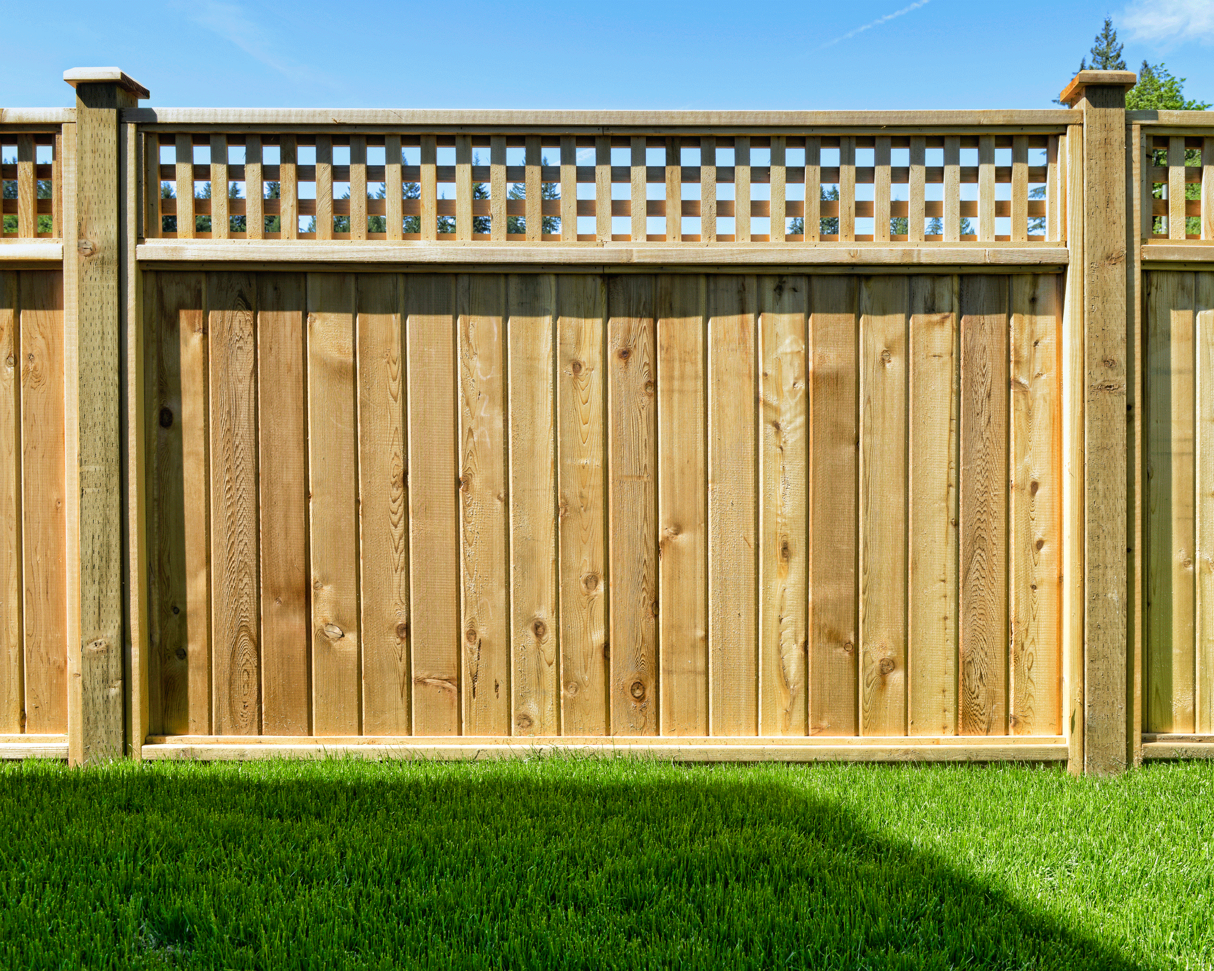 Wood Fence Panels Settings And Options | Modern Fence Ideas