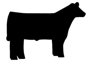 Angus Cattle Clipart