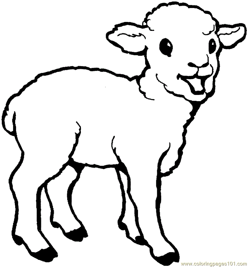 Coloring Pages Baby sheep (Mammals > Sheeps) - free printable ...
