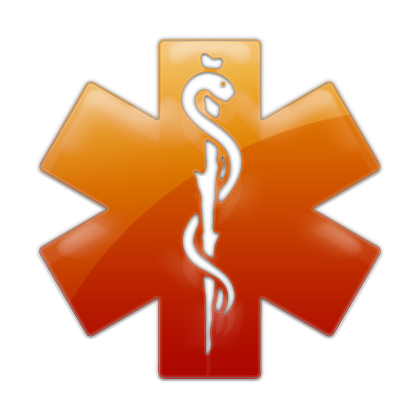 Medical Alert Symbol Icon #091419 » Icons Etc