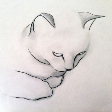 art on Pinterest | Persian Cats, Tree Sketches and Cat Drawing