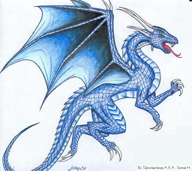 Flying Blue Dragon Recipes — Dishmaps
