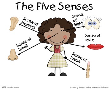 The-Five-Senses-Poster-333896 Teaching Resources ...