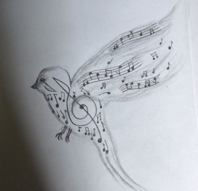 Music bird drawing | Music | Pinterest
