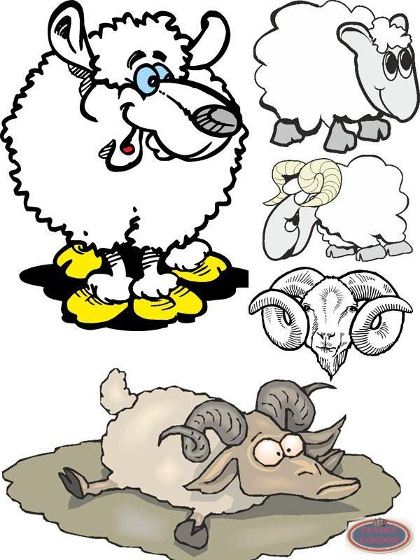Free funny sheep pictures and illustrations 2015 vector