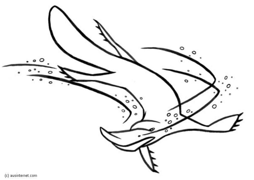 Platypus-coloring-page-12 | Free Coloring Page Site