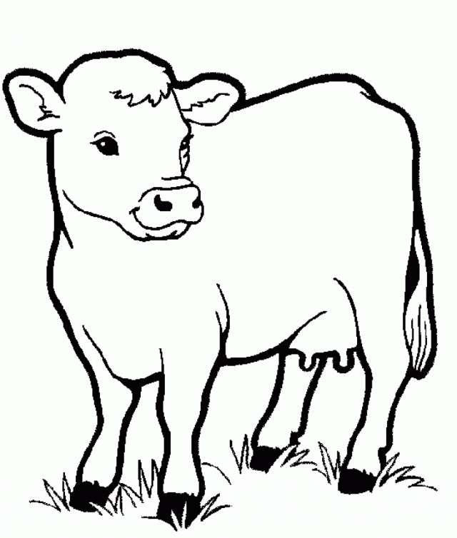 Farm 13th Coloring Pages Cute Baby Panda Coloring Pages For Kids ...