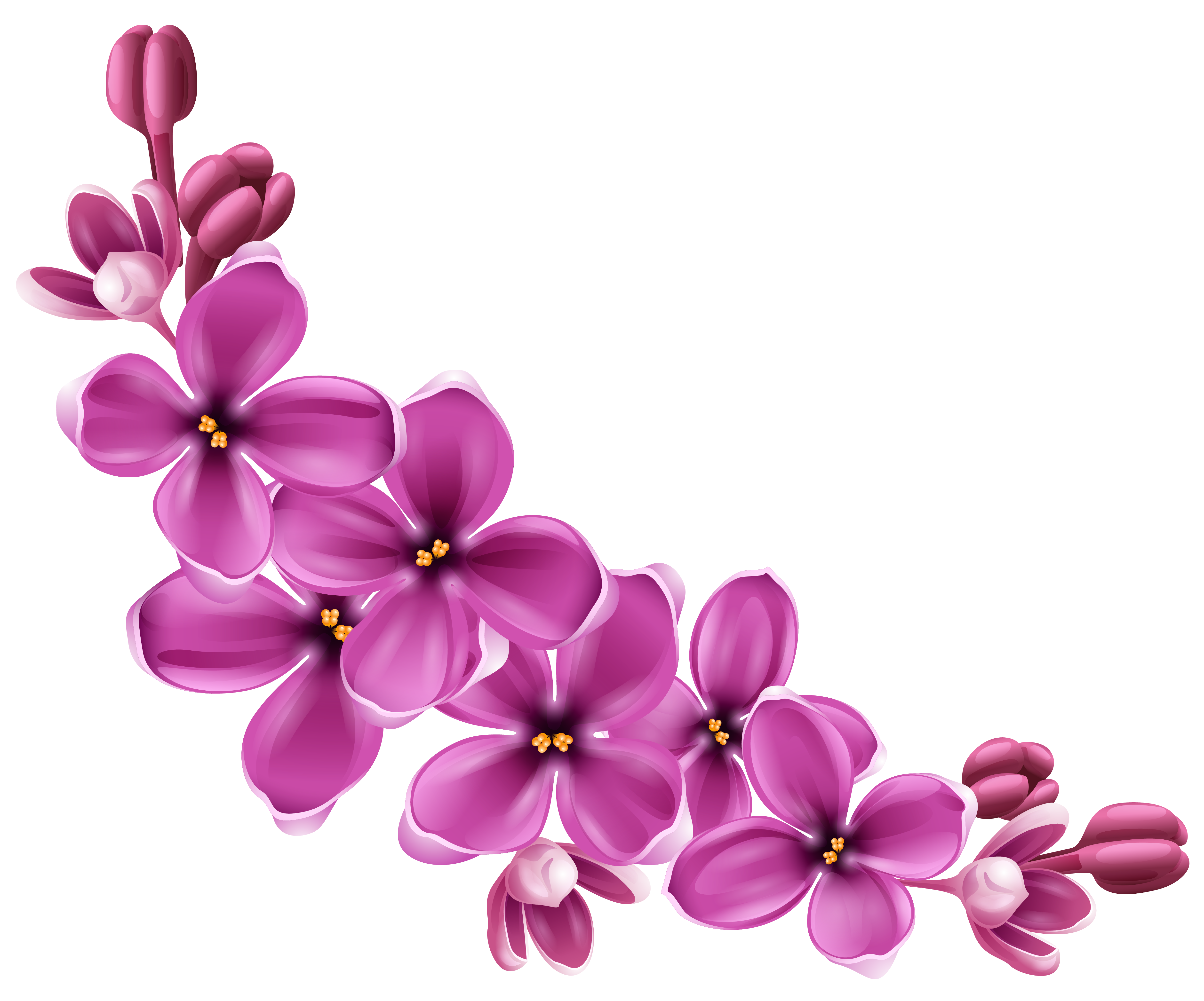 Spring Pink Floral Decor PNG Picture Clipart
