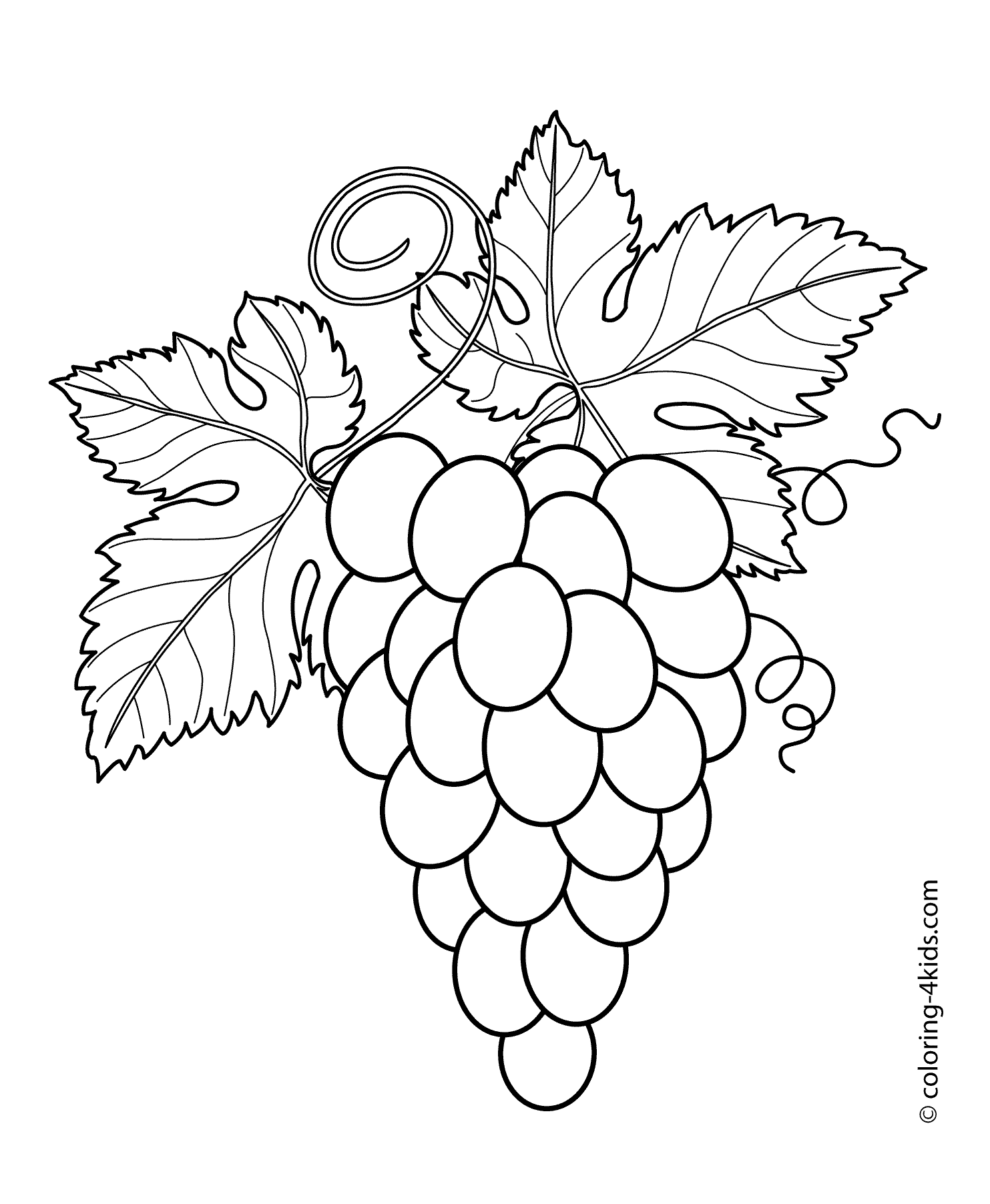 Grapes with leaves fruits and berries coloring pages for kids ...