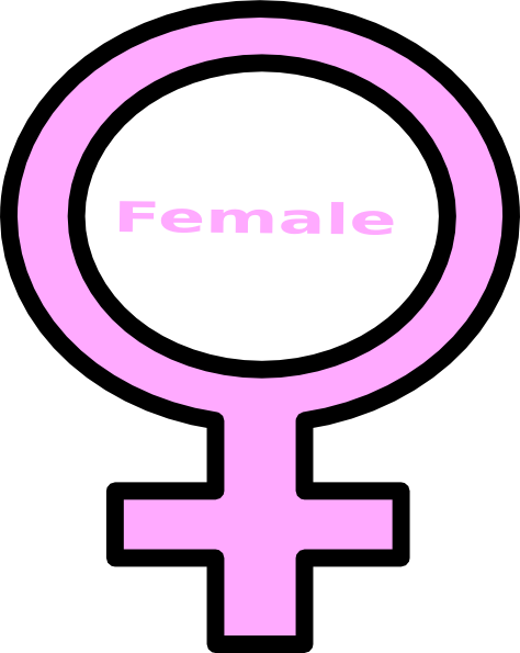 Pink Female Symbol clip art - vector clip art online, royalty free ...