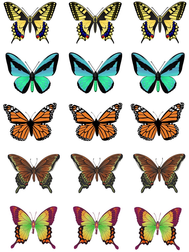 butterfly clip art | Clip Art of A Sheet of Butterflys | Painted Rocks