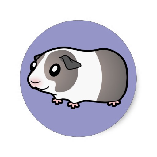 Cartoon Guinea Pig (silver dutch) Round Sticker | Zazzle