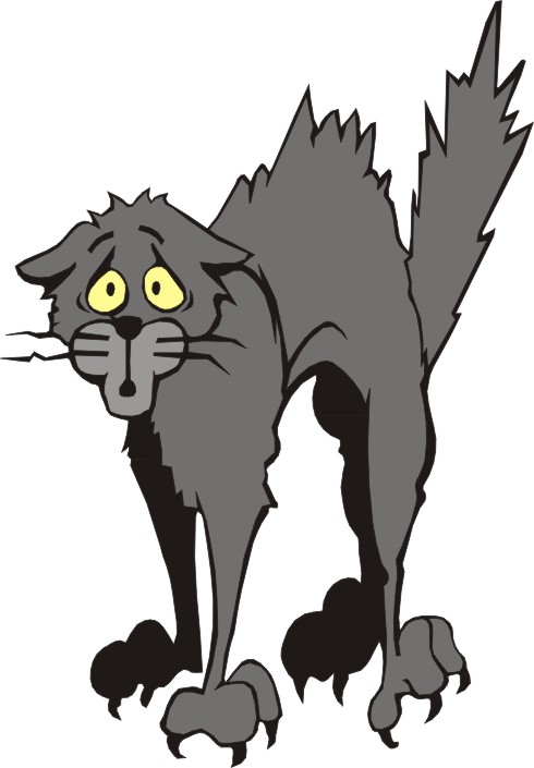 free clipart scared cat - photo #3
