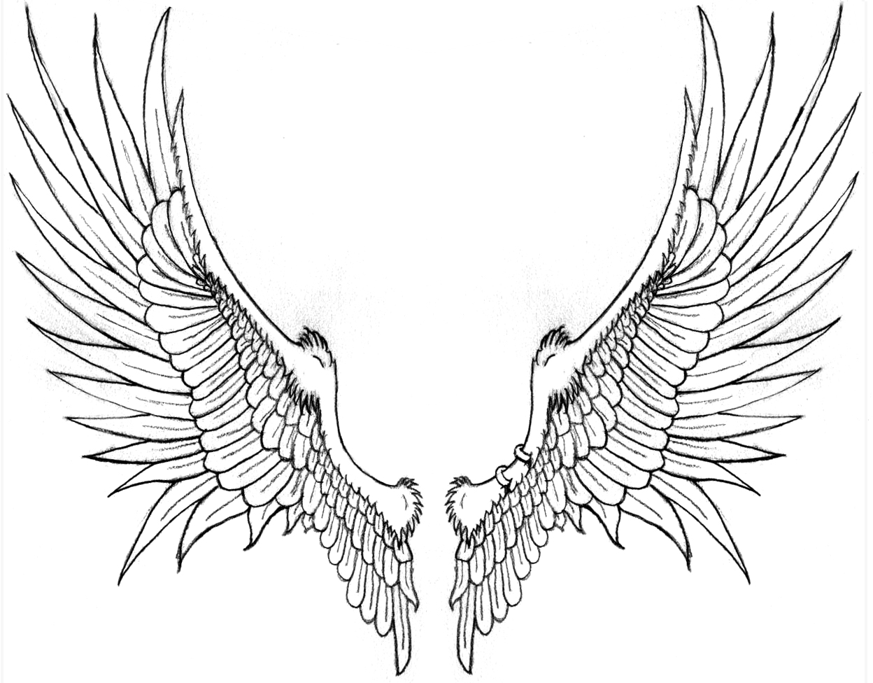 Brack's Wings -for tattoo- by Katryn-Noquisi on DeviantArt