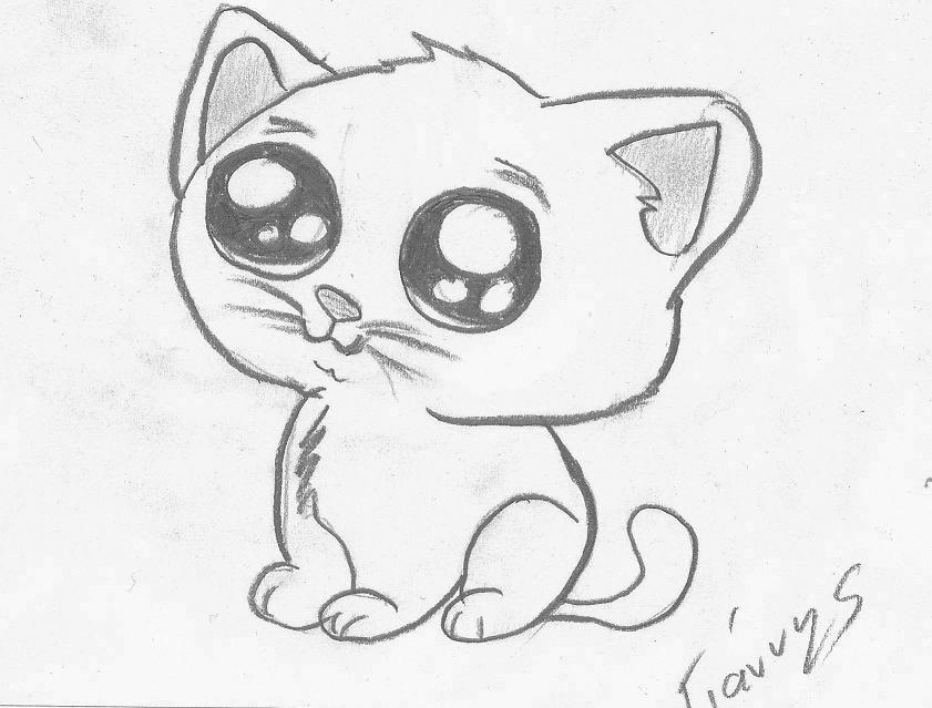 Cute Cat Drawing | Viralnova