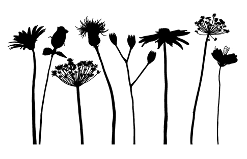 BB Free Vectors: Flower Silhouettes - BittBox