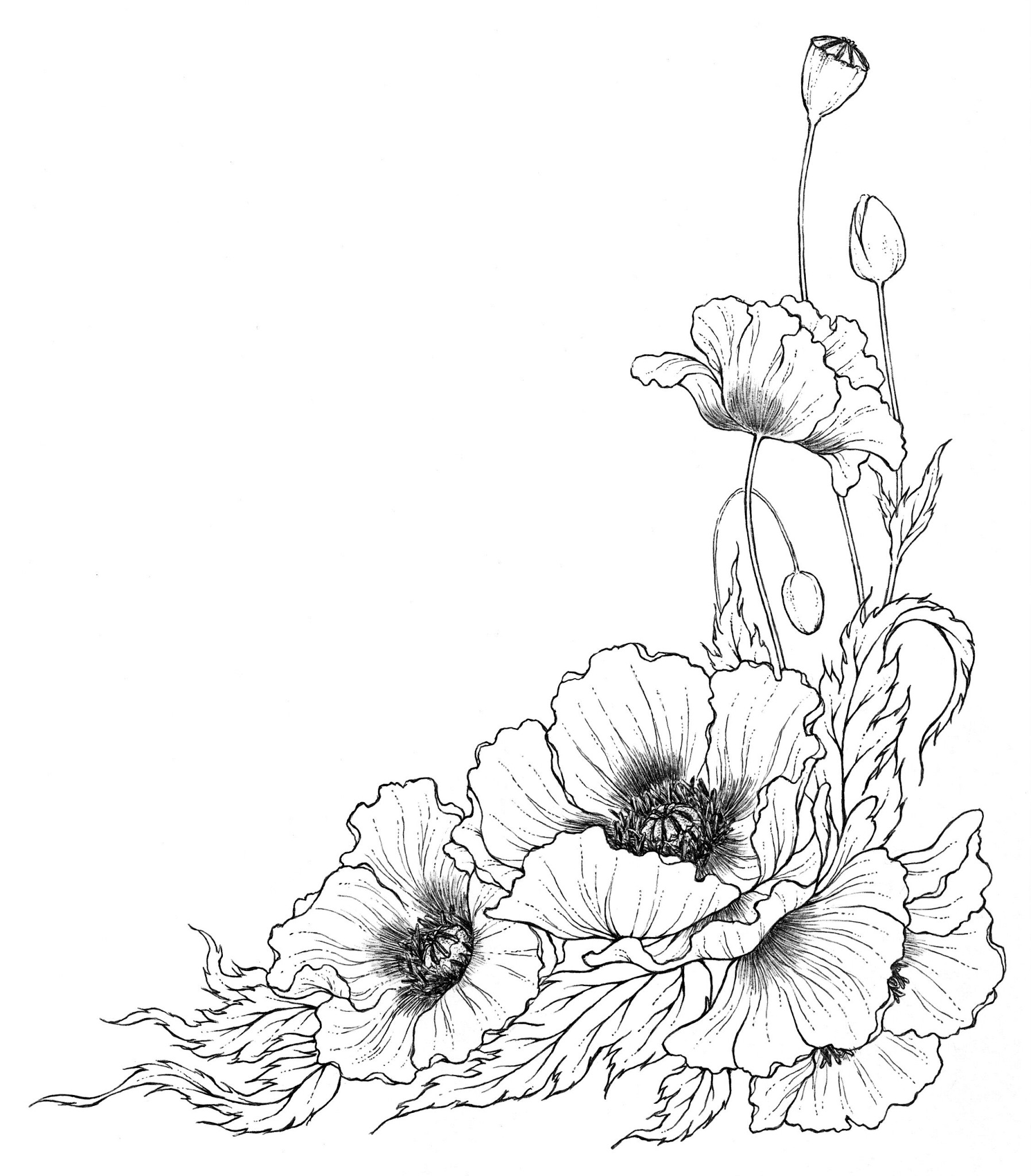 Flower Line Drawing Tattoo | Line Drawing