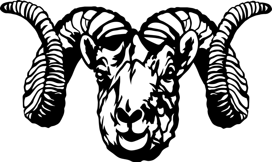 Dall Sheep Ram (stylized) SVG Vector file, vector clip art svg ...