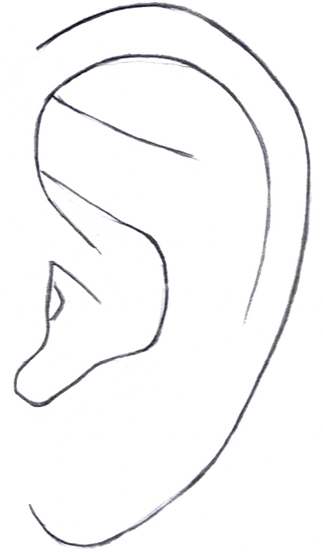 The Wonderful Obsessions: Lesson 12 - How to Draw an Ear
