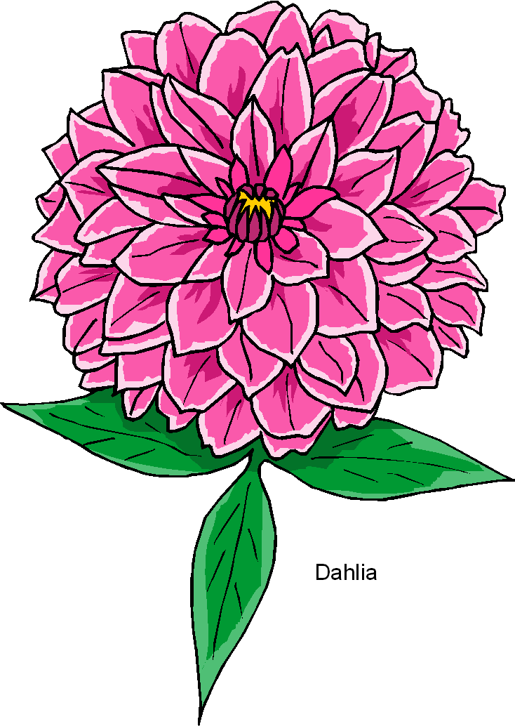 Pin S1600 Dahlia Fl Tagged As Flower Free Clipart Microsoft on ...