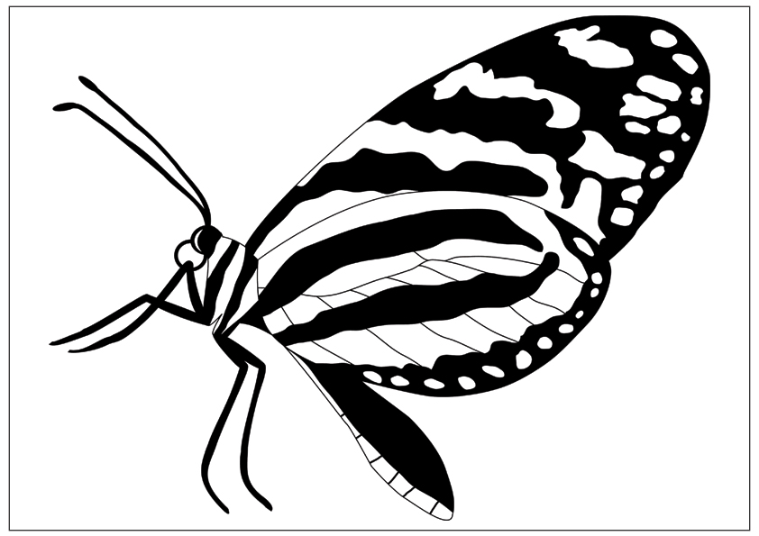 monarch-butterfly-print.jpg