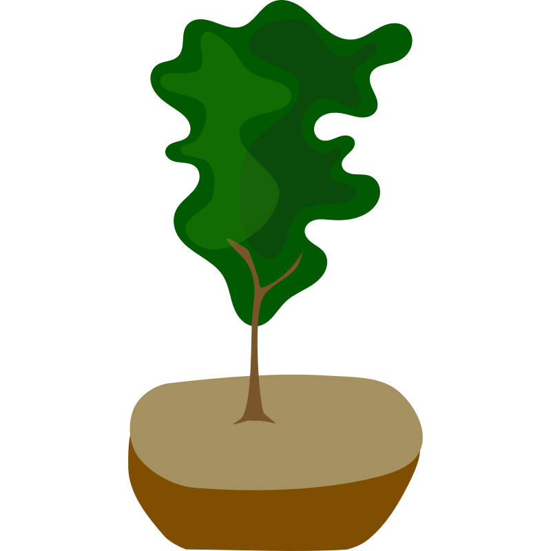 tree_in_pot.png