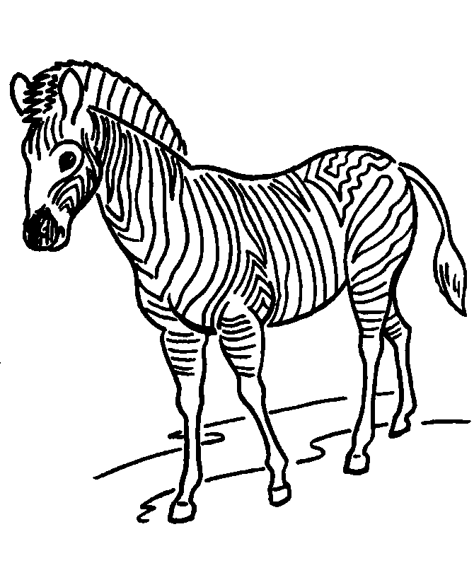 Zoo Coloring Pages | Free Coloring Online