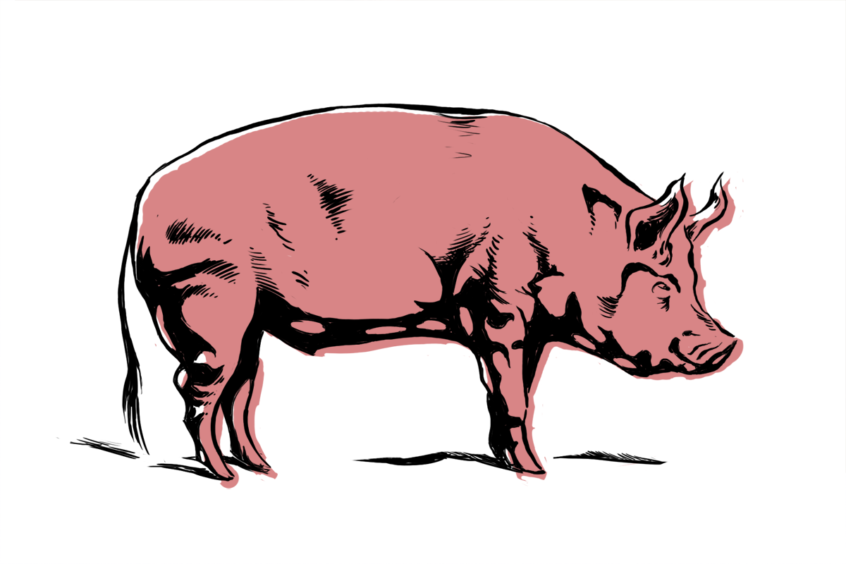 Pigs Cartoon Images - ClipArt Best