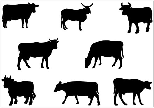 Cow Vector - ClipArt Best