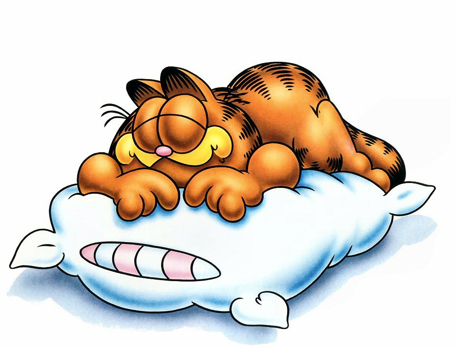 Garfield Sleeping Wallpaper - HD Wallpapers