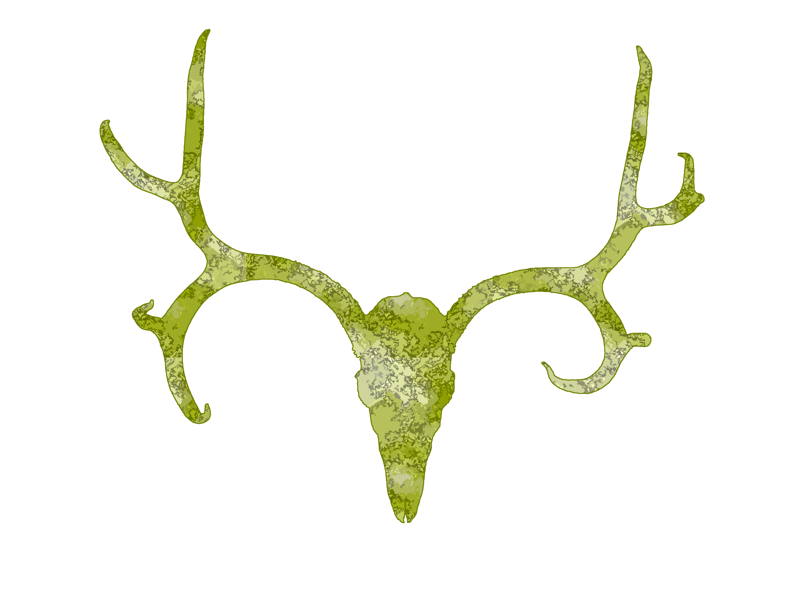 Greendeerskull image - vector clip art online, royalty free ...