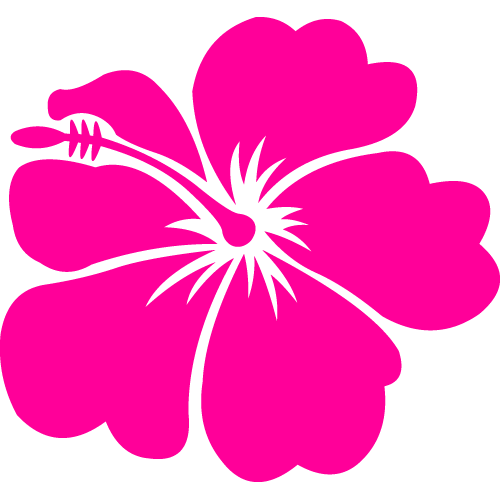 Pix For > Cartoon Hawaiian Flower Border