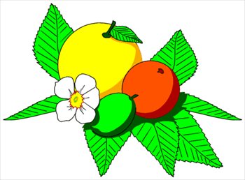 Free Fruits Clipart - Free Clipart Graphics, Images and Photos ...