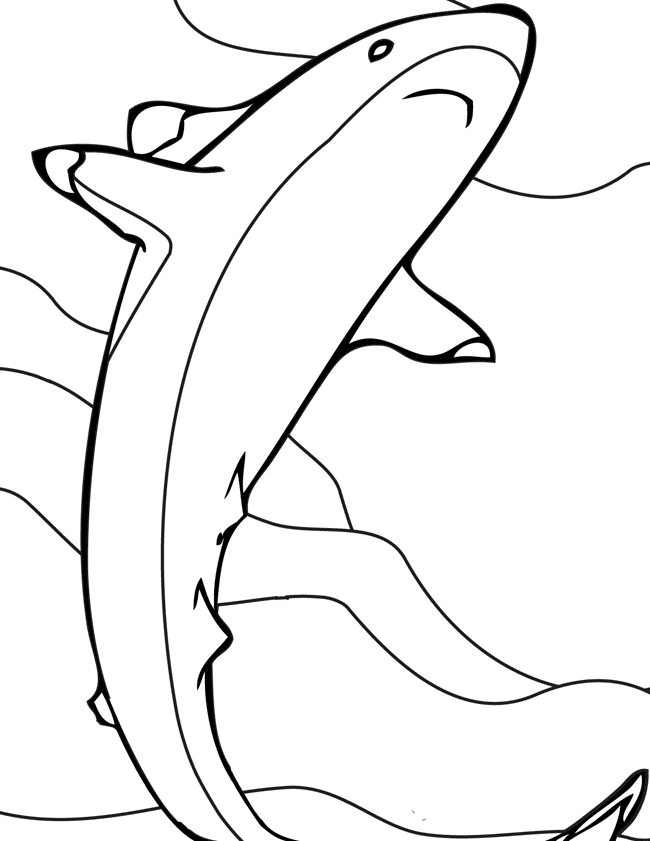 Reef Shark coloring page - Animals Town - animals color sheet ...
