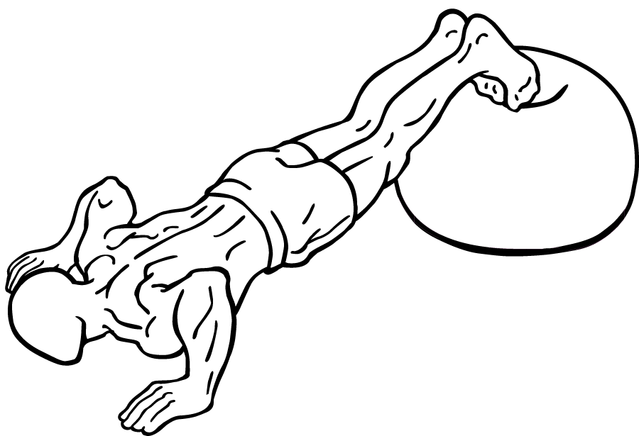 File:Push-up-with-feet-on-an-exercise-ball-2.png - Wikimedia Commons