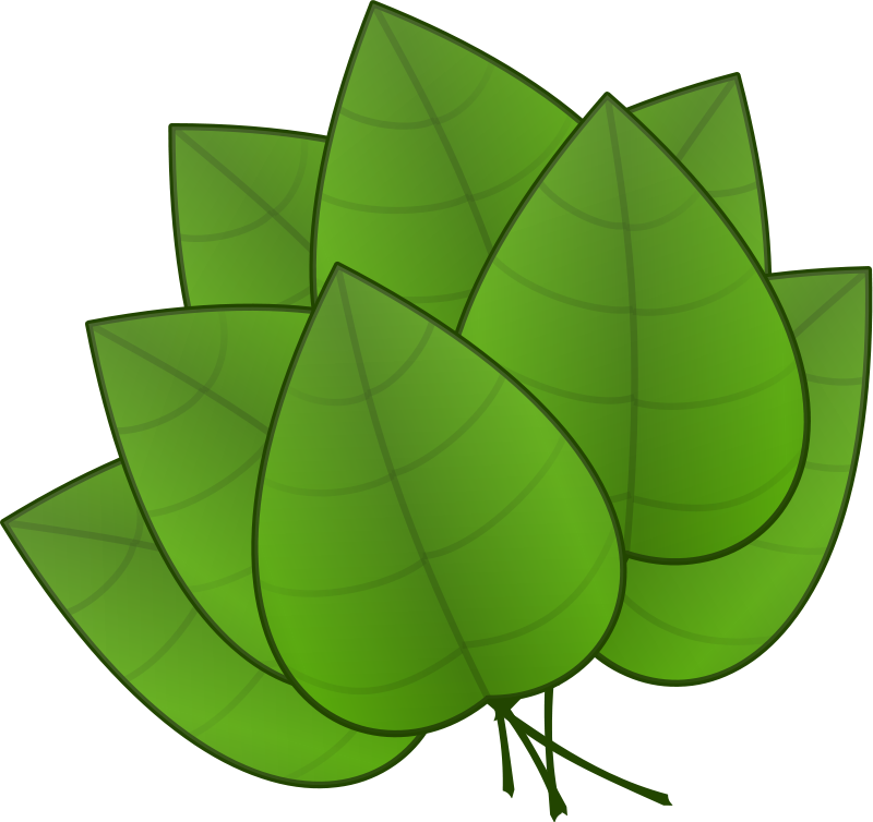 Olive Wreath Clip Art Download